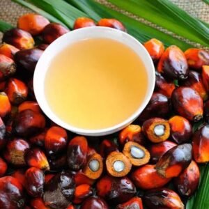 1654584228palm oil.jpg