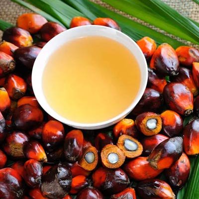 1654584228palm oil.jpg