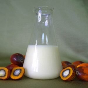 1654584339palm oil stearin.jpg