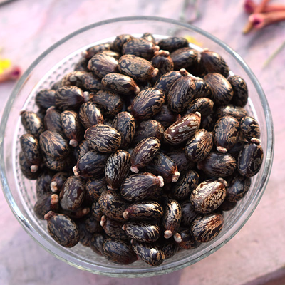 1654879438castor seeds.png