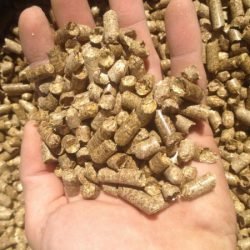 straw pellets golden 5.jpeg