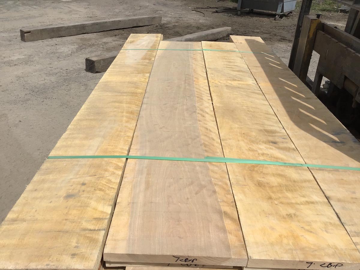 grade curly birch lumber 44913 3.jpg
