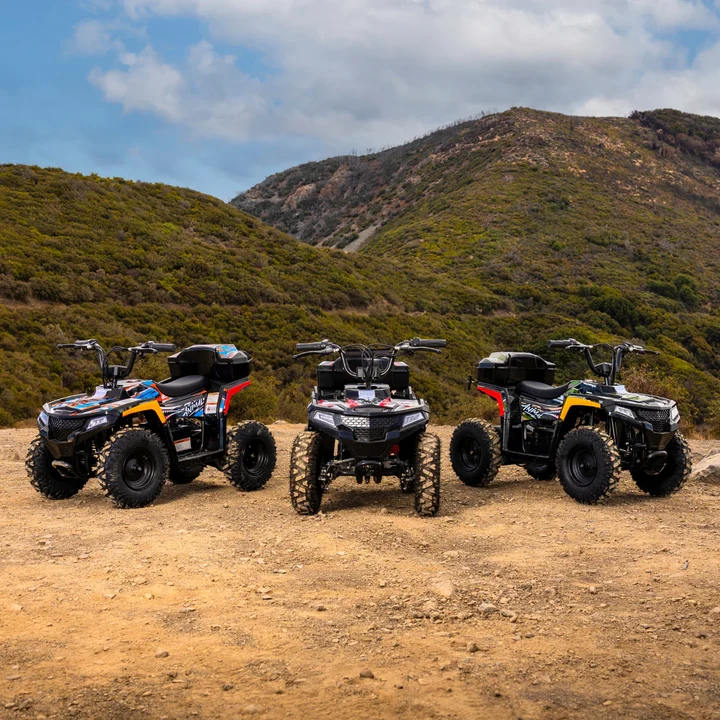 Droyd Animal 36V/8Ah 500W Electric ATV - Image 3