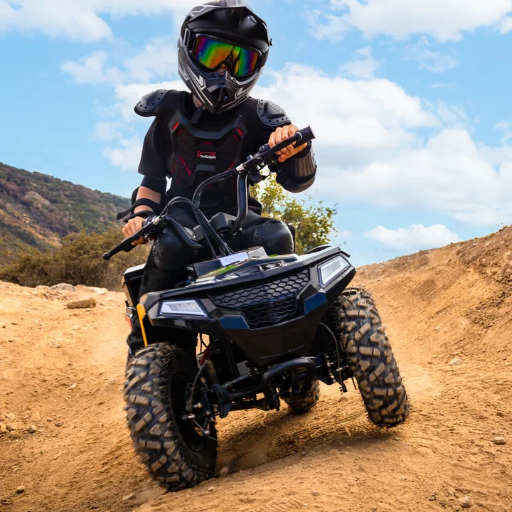 Droyd Animal 36V/8Ah 500W Electric ATV - Image 2